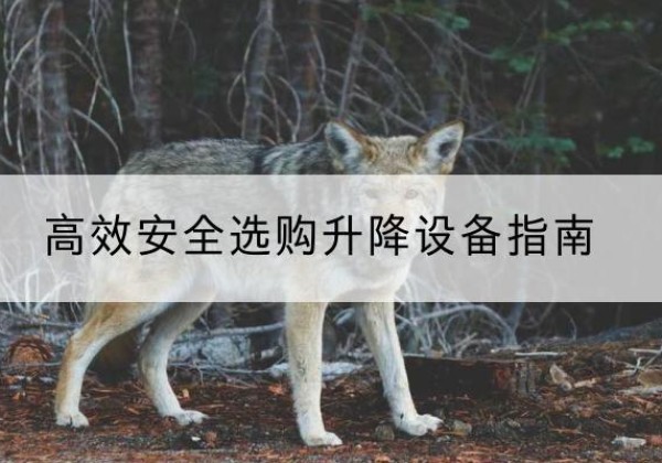 新吴升降货梯厂家推荐-*安全选购升降设备指南