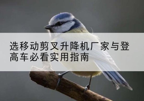 新吴电动升降机厂家-选移动剪叉升降机厂家与登高车必看实用指南