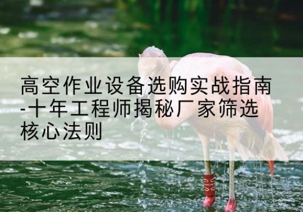 新吴剪叉式升降机厂家-高空作业设备选购实战指南-十年工程师揭秘厂家筛选核心法则